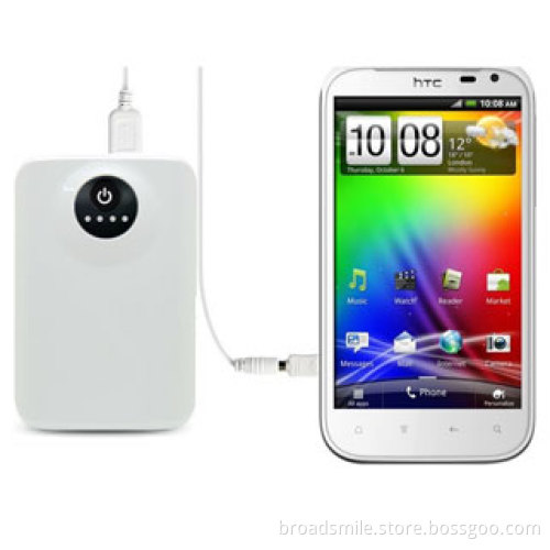 10000 mah Portable universal External battery power bank D520 for mobile phone and PC Tablet